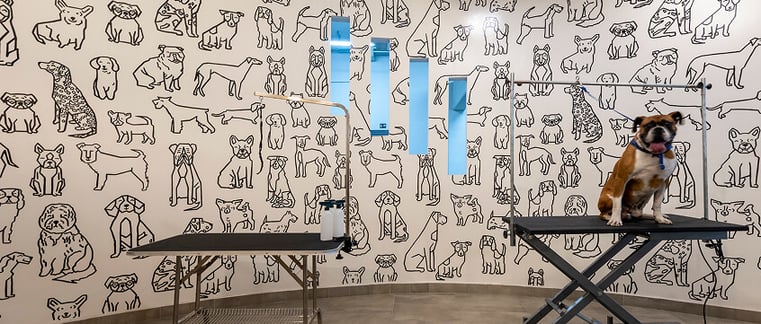 pet-zone-uplace